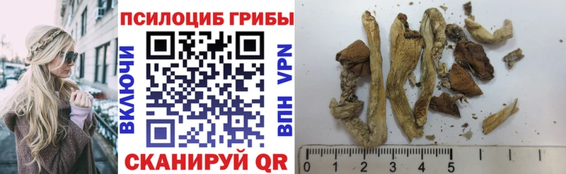 где купить   Ишим  Галлюциногенные грибы ЛСД 